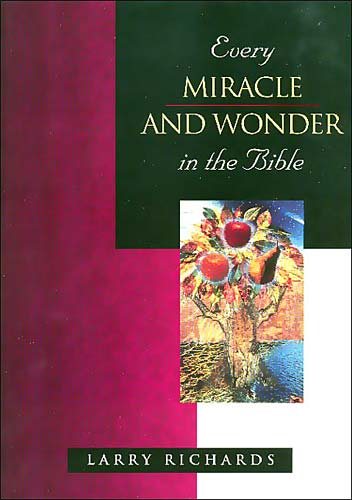 Every Miracle and Wonder in the Bible (Everything in the Bible Series) cover