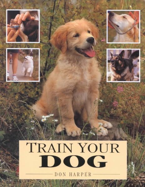 Train Your Dog cover