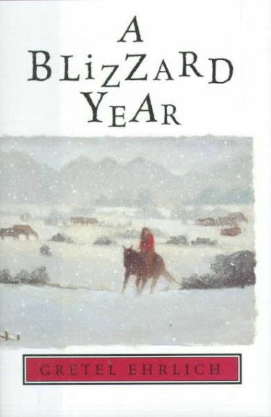 A Blizzard Year cover