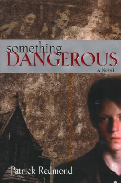 Something Dangerous: A Novel cover