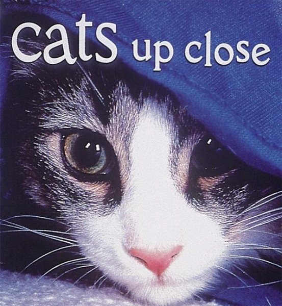 Cats Up Close (Tiny Folios) cover