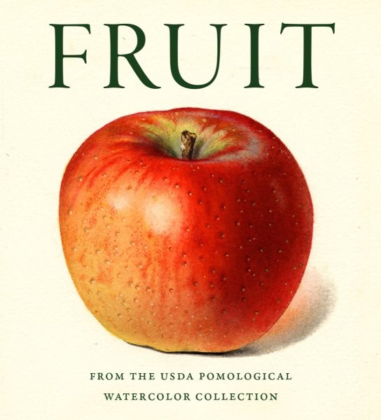 Fruit: From the USDA Pomological Watercolor Collection (Tiny Folio) cover