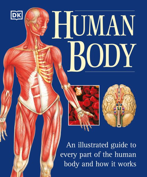 Human Body: An Illustrated Guide to Every Part of the Human Body and How It Works cover