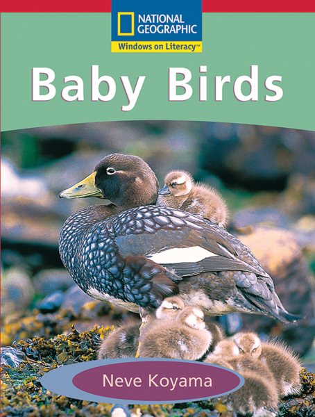 Baby Birds cover