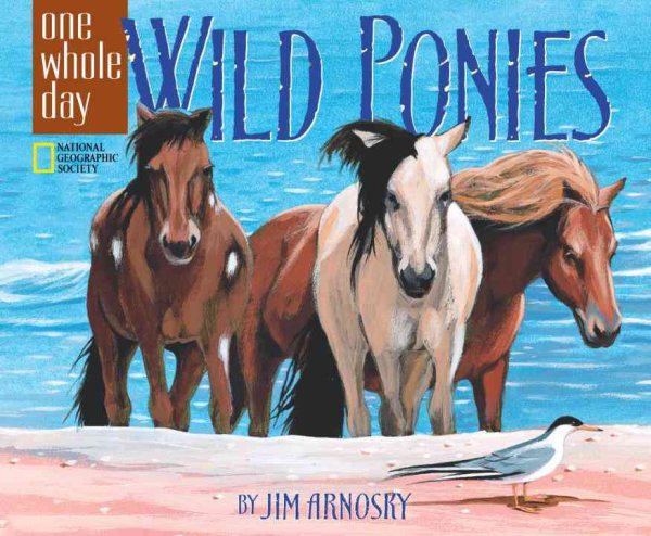 Wild Ponies: A One Whole Day Book