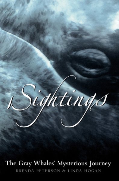 Sightings: The Gray Whales' Mysterious Journey (Adventure Press) cover