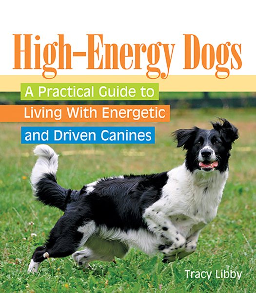 High-Energy Dogs: A Practical Guide to Living With Energetic and Driven Canines cover