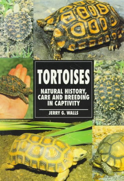 The Guide to Owning a Tortoise cover