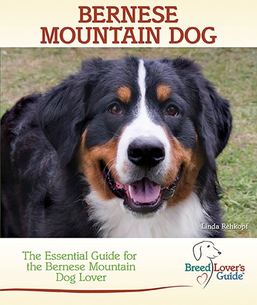 Bernese Mountain Dog: The Essential Guide for the Bernese Mountain Dog Lover (Breed Lover's Guides) cover