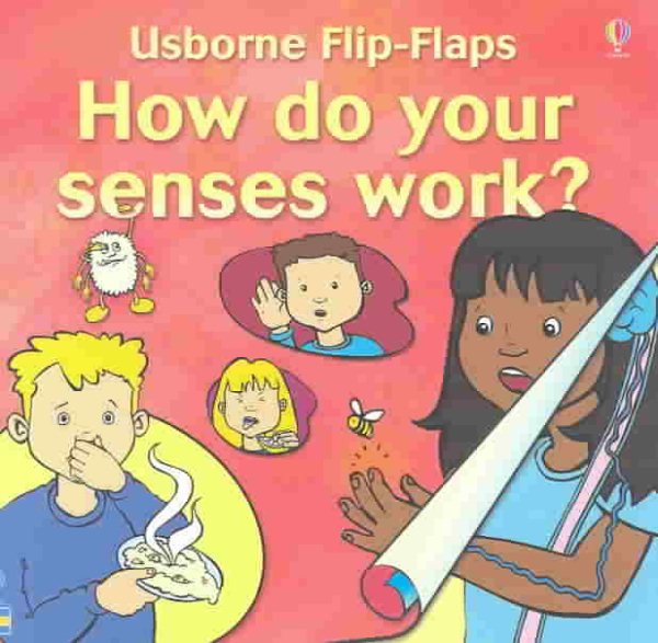 How Do Your Senses Work (Usborne Flip Flaps)