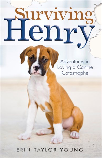 Surviving Henry: Adventures in Loving a Canine Catastrophe cover