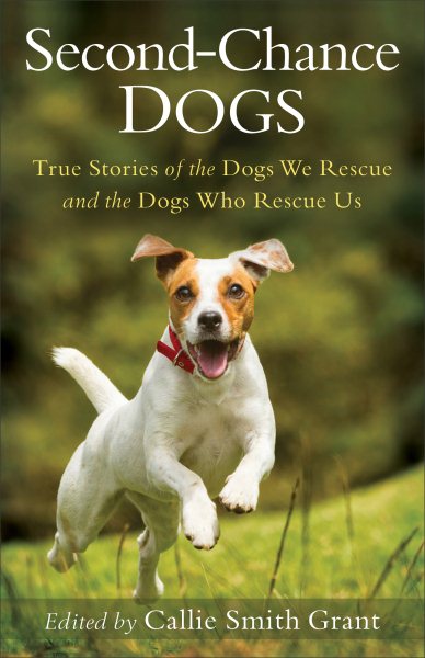 Second-Chance Dogs: True Stories of the Dogs We Rescue and the Dogs Who Rescue Us cover