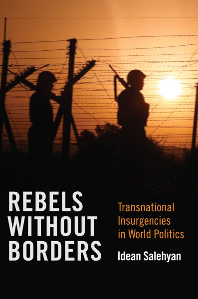 Rebels without Borders: Transnational Insurgencies in World Politics cover