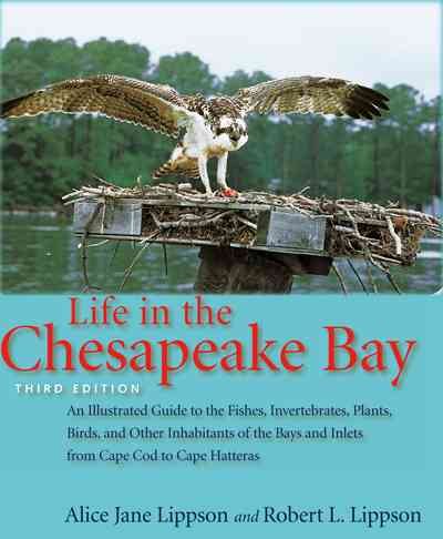 Life in the Chesapeake Bay cover