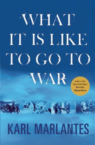 What It Is Like to Go to War cover