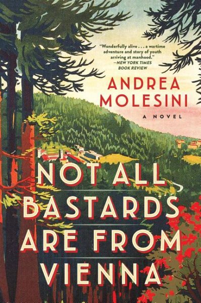 Not all Bastards are from Vienna: A Novel cover
