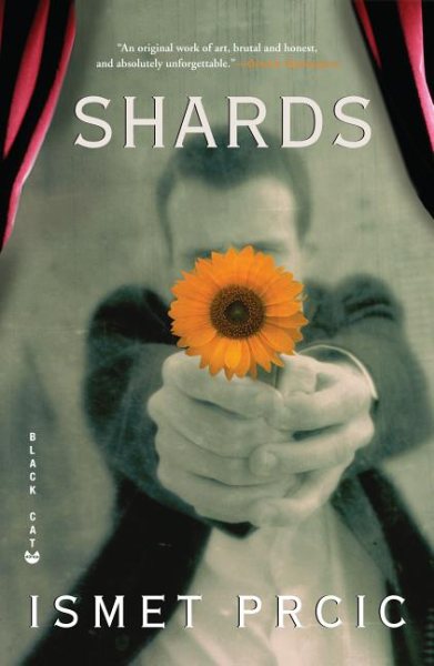 Shards: A Novel cover