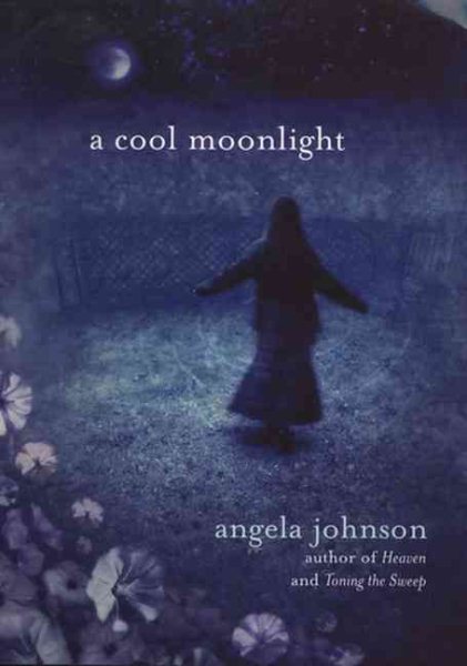 A Cool Moonlight cover