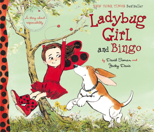 Ladybug Girl and Bingo cover