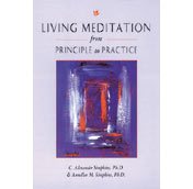 Living Meditation from Principles to Practice