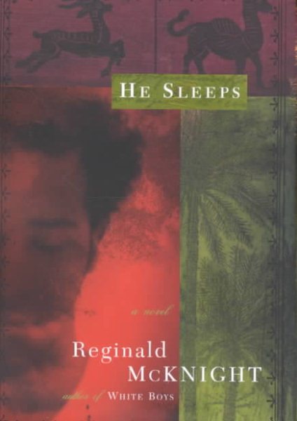 He Sleeps: A Novel cover