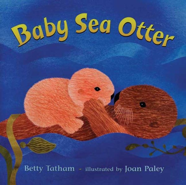 Baby Sea Otter cover