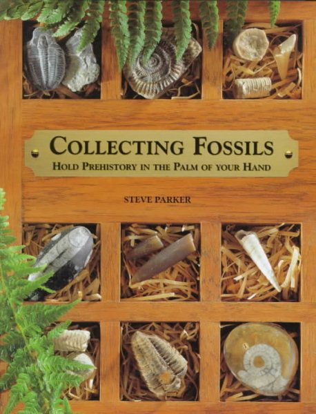 Collecting Fossils: Hold Prehistory in the Palm of Your Hand cover