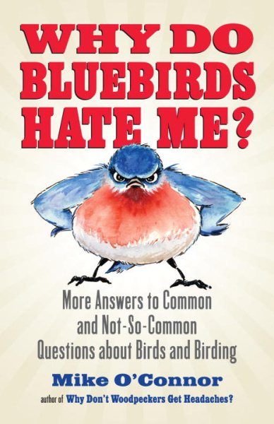 Why Do Bluebirds Hate Me?: More Answers to Common and Not-So-Common Questions about Birds and Birding cover