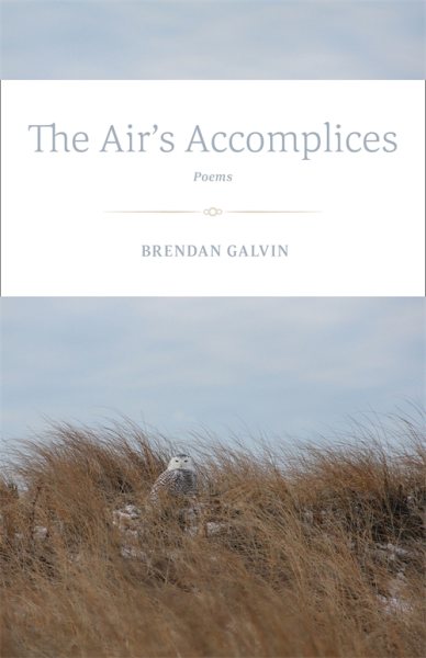 The Air's Accomplices: Poems cover