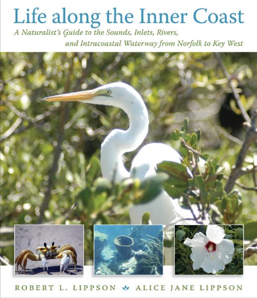 Life along the Inner Coast: A Naturalist's Guide to the Sounds, Inlets, Rivers, and Intracoastal Waterway from Norfolk to Key West cover