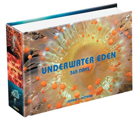 Underwater Eden: 365 Days (365 Series)
