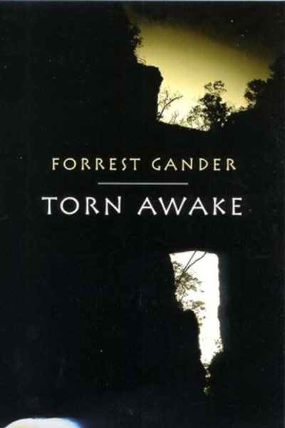 Torn Awake cover