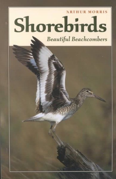 Shorebirds: Beautiful Beachcombers