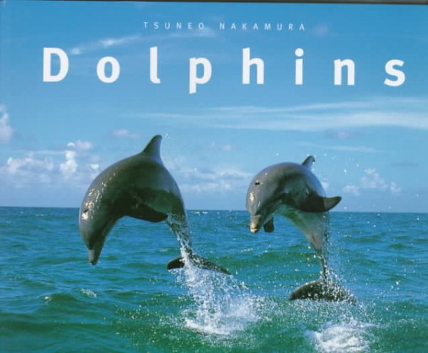 Dolphins cover