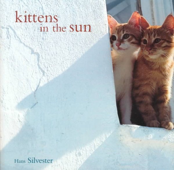 Kittens in the Sun cover