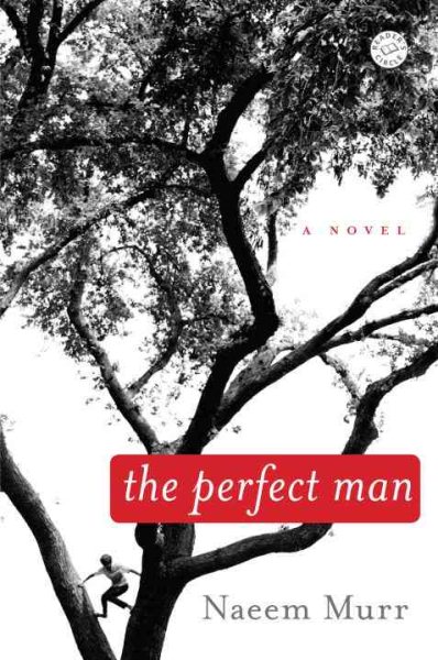 The Perfect Man: A Novel cover