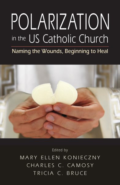 Polarization in the US Catholic Church: Naming the Wounds, Beginning to Heal cover