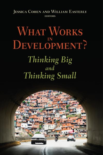 What Works in Development?: Thinking Big and Thinking Small cover