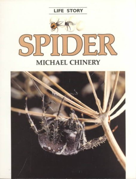 Spider - Pbk (Life Story) cover