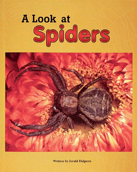 Steck-Vaughn Pair-It Books Early Fluency Stage 3: Student Reader A Look At Spiders, Story Book