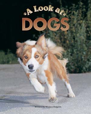 Steck-Vaughn Pair-It Books Early Fluency Stage 3: Student Reader Look At Dogs, A  , Story Book