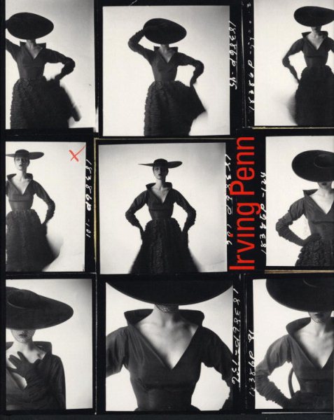 Irving Penn: A Career in Photography cover