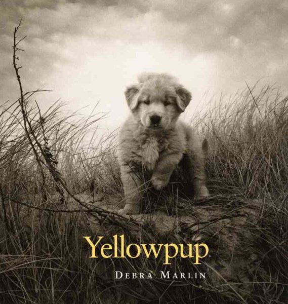 Yellowpup cover