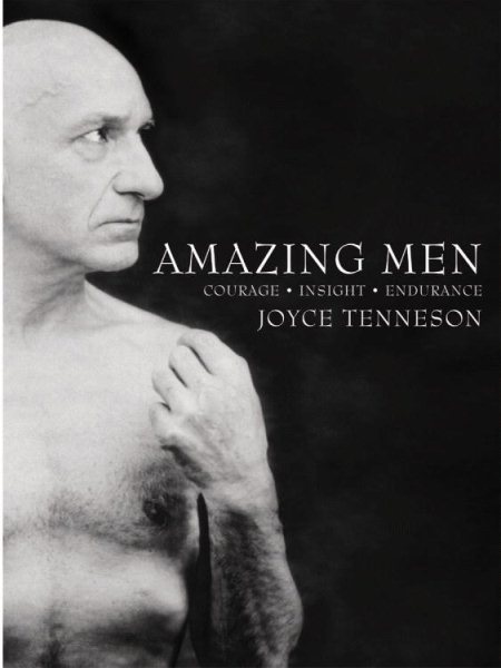Amazing Men: Courage, Insight, Endurance cover