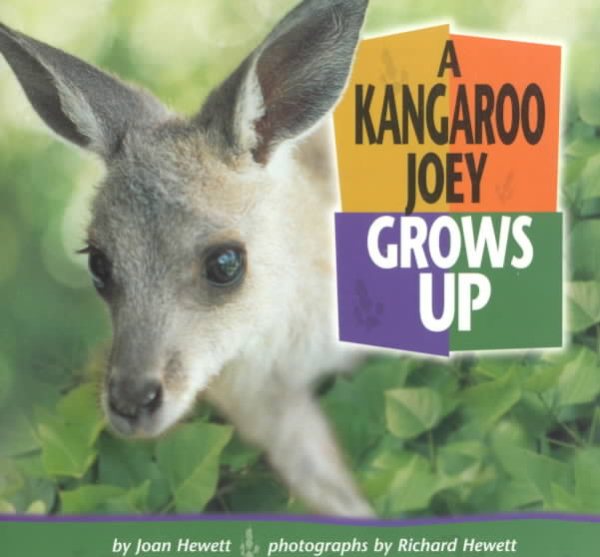 A Kangaroo Joey Grows Up (Baby Animals (Learner Classroom)) cover