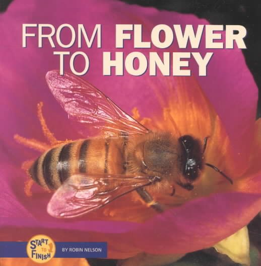 From Flower to Honey (Start to Finish)