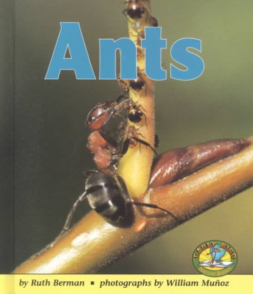 Ants (Early Bird Nature Books) cover