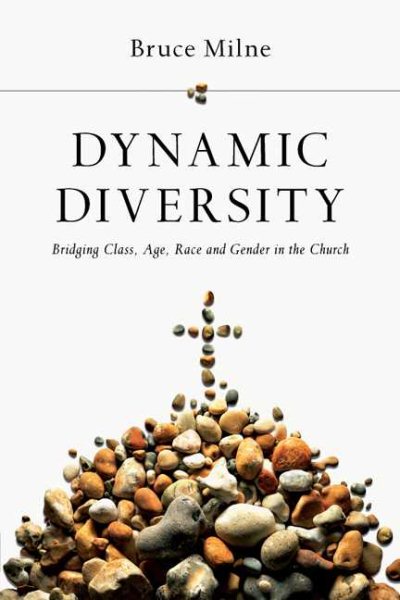 Dynamic Diversity: Bridging Class, Age, Race and Gender in the Church cover