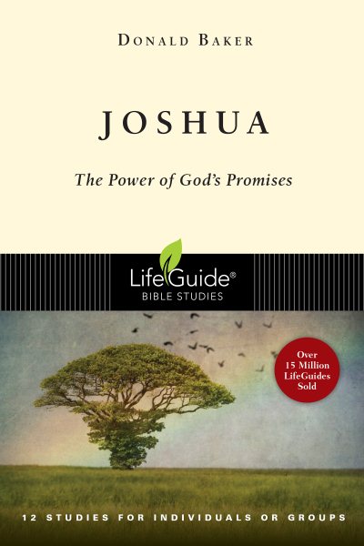 Joshua: The Power of God's Promise cover
