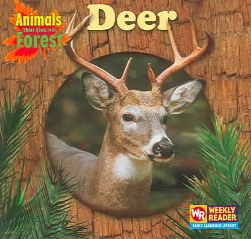 Deer (Animals That Live in the Forest) cover